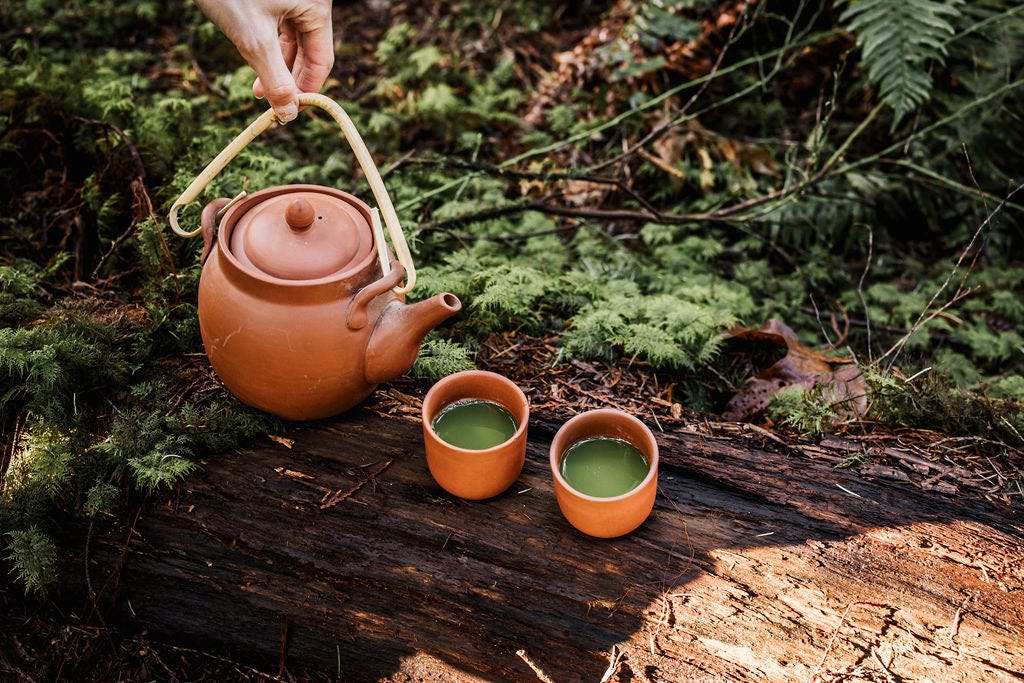 Pot and matcha in clay cups in the forest, Aikenka Matcha
